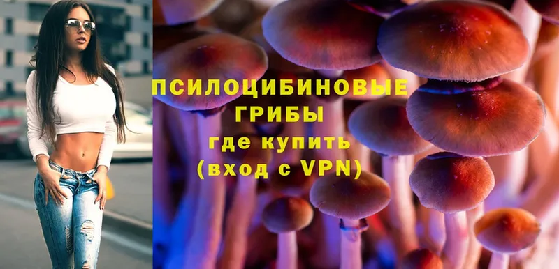 купить   Кириллов  Псилоцибиновые грибы Magic Shrooms 